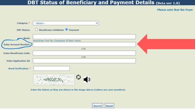 Check DBT Payment Status By Account Number